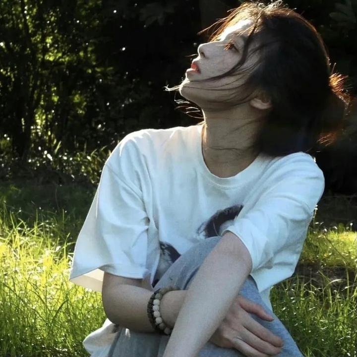 鸽之翼